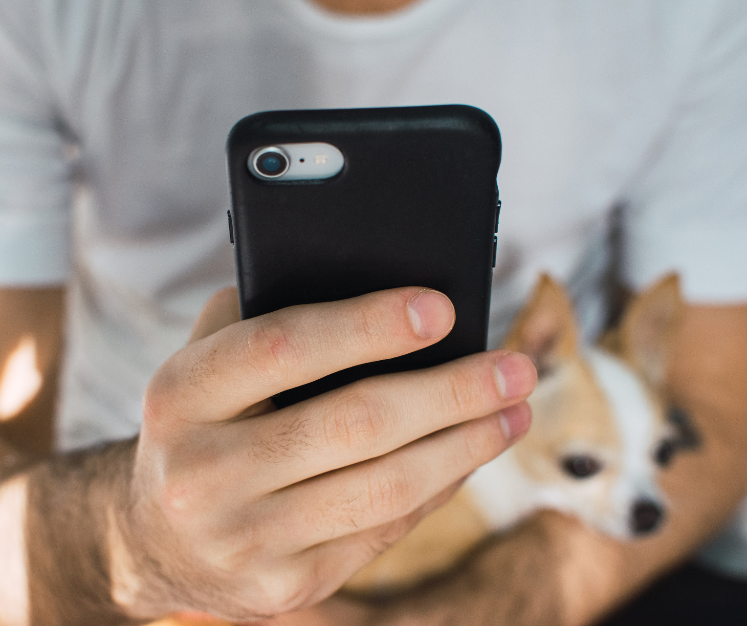 Best Mail Order Bride Sites